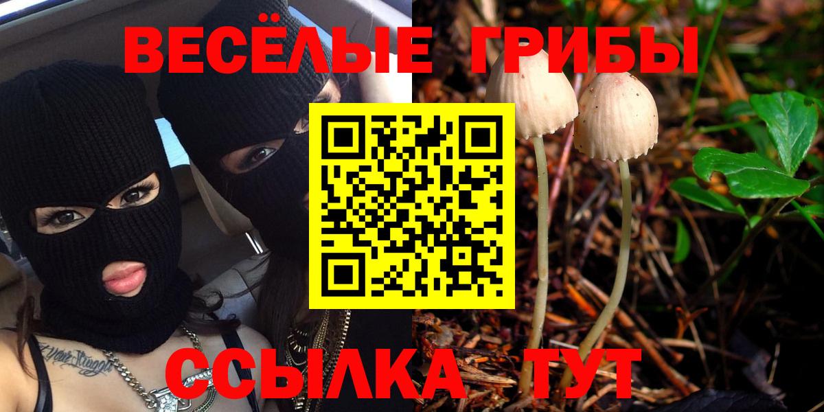 Алушта  наркотики  Вход с VPN  Псилоцибиновые грибы Cubensis 